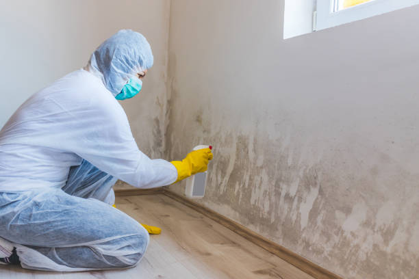 Commercial Mold Remediation assessment for commercial property in Hermitage