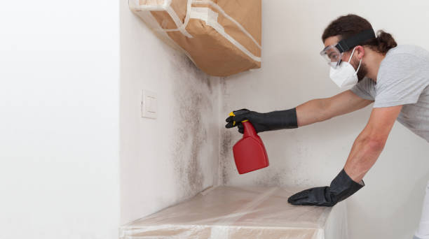 Attic Mold Remediation treatment on roof deck in Hermitage