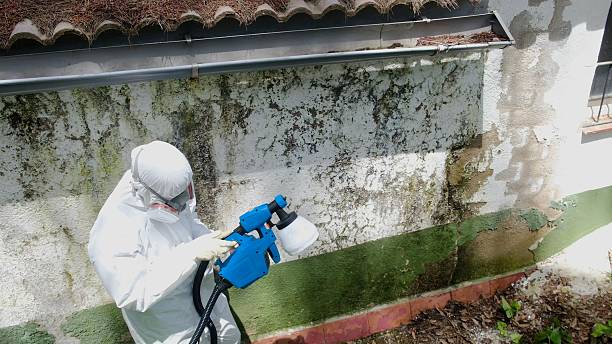 Mold Remediation service in Hermitage, Hermitage, PA